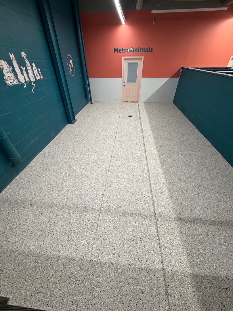 Detail of broadcast color flake floor in dog boarding facility — non-porous, slip-resistant, and chemical-resistant