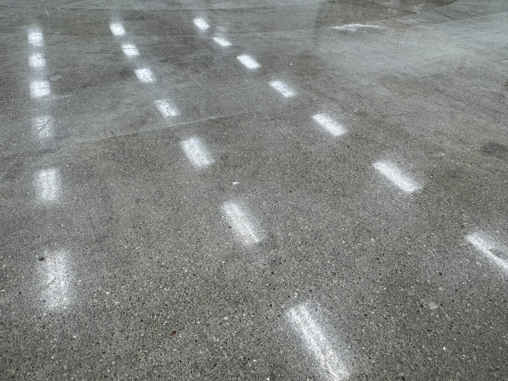 Finished polished concrete in pharmaceutical plant — high-gloss, low-maintenance, ready for production