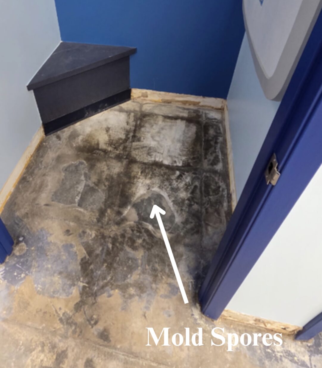 VCT tile floor in children's swim school showing seams and water tracking before Legacy Industrial Coatings tear-out and remediation