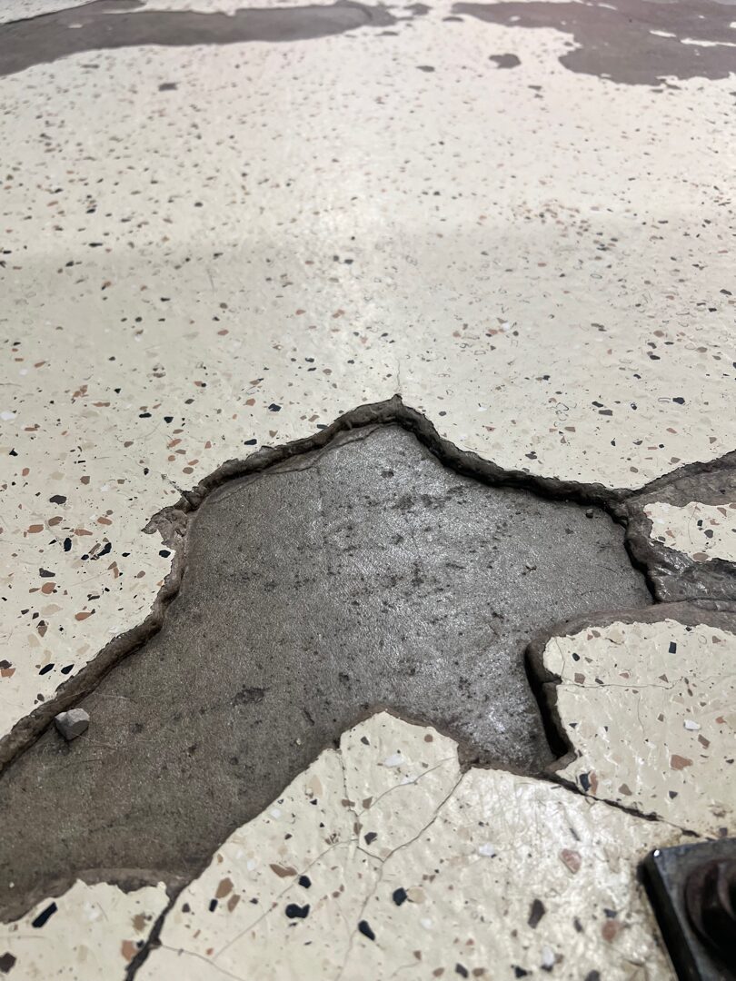 Failing low-grade epoxy paint coating peeling off concrete overlay in Plano TX dog training and grooming facility before Legacy Industrial Coatings tear-out