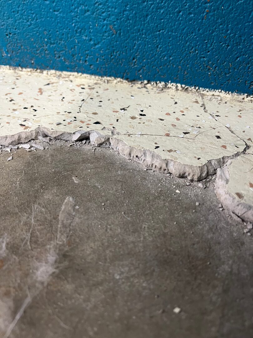 Chipping concrete overlay and worn-out epoxy floor in dog boarding facility kennel area before flake floor installation