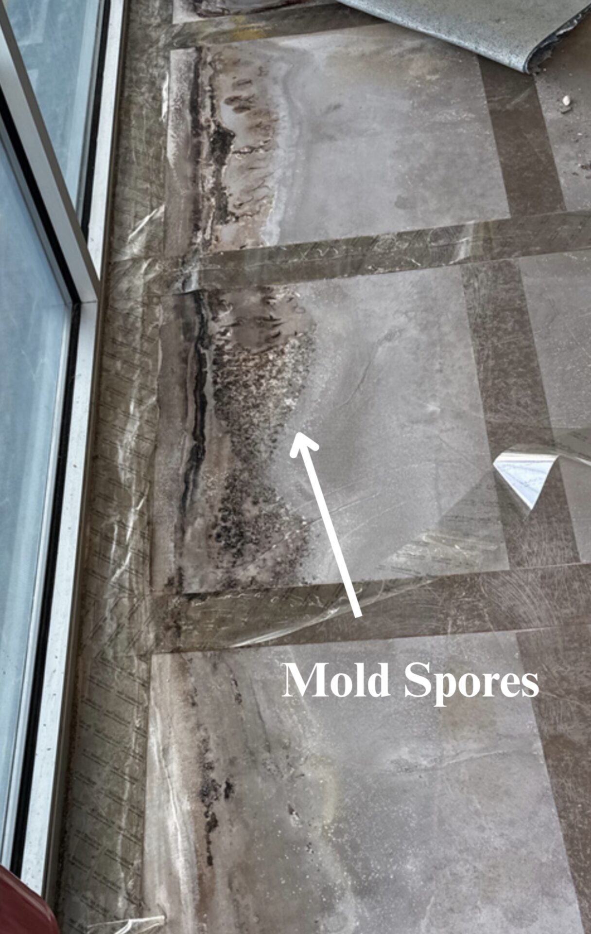 Old vinyl composition tile floor in swim school deck area before mold remediation and polyurea polyaspartic system install