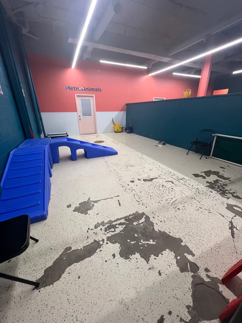 Damaged dog facility floor showing failed coating and broken overlay before polyurea polyaspartic system install