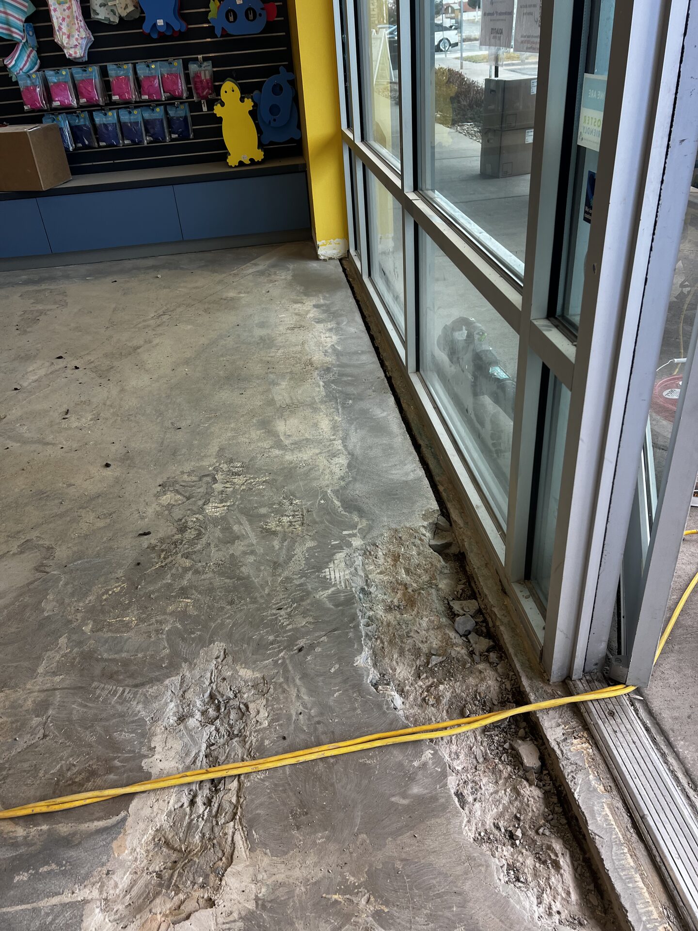 Mold and bacterial buildup exposed underneath VCT tile after removal in children's swim school — years of trapped moisture